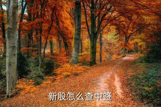 股票怎么查詢中簽，如何通過網(wǎng)上系統(tǒng)查詢新股中簽