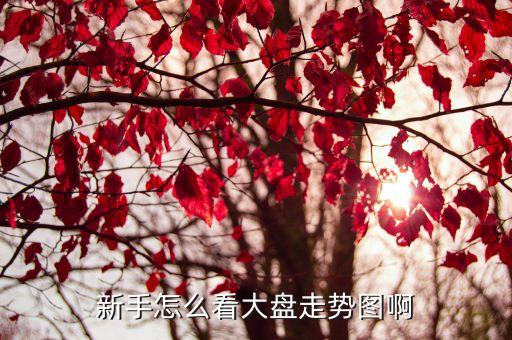 大盤行情走勢怎么看，大盤走勢圖具體應(yīng)該怎么看