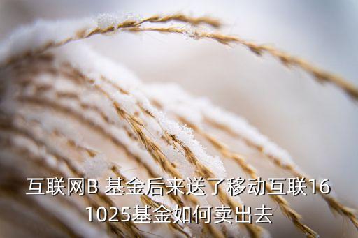 互聯網B 基金后來送了移動互聯161025基金如何賣出去