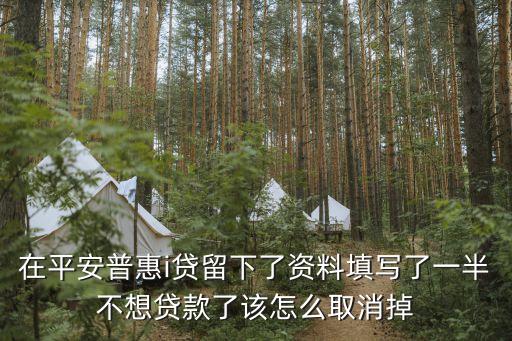 在平安普惠i貸留下了資料填寫(xiě)了一半不想貸款了該怎么取消掉