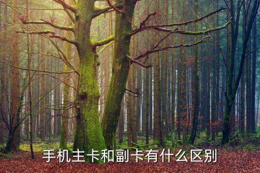 手機主卡和副卡有什么區(qū)別