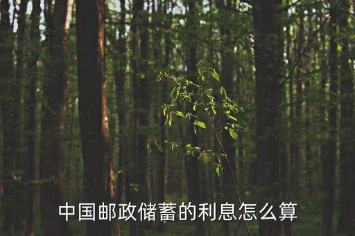 中國郵政儲(chǔ)蓄的利息怎么算