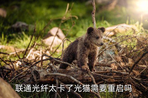 聯(lián)通光纖 光大怎么辦，聯(lián)通光纖太卡了光貓需要重啟嗎