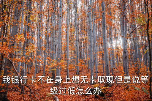 無(wú)卡套現(xiàn)怎么解決，怎么才能無(wú)卡取現(xiàn)要達(dá)到什么條件