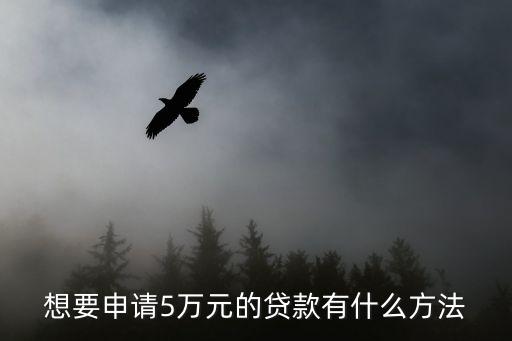 學(xué)生想貸款5萬怎么辦，我目前是在校大學(xué)生想要貸款5萬元請問可以嗎