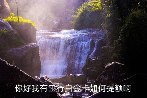 你好我有工行白金卡如何提額啊