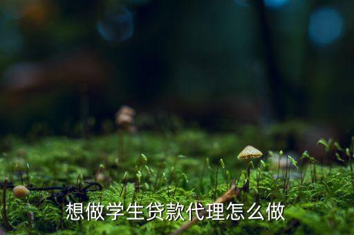 想做學(xué)生貸款代理怎么做