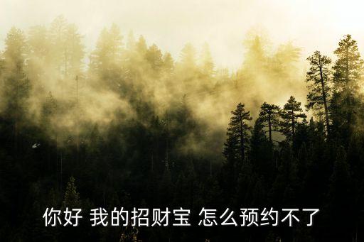 招財寶怎么很難預約呢，支付寶的招財寶預約為什么很難成功