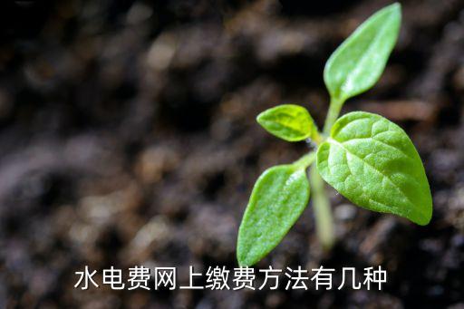 水電費(fèi)網(wǎng)上繳費(fèi)方法有幾種