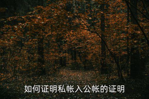 如何證明私帳入公帳的證明