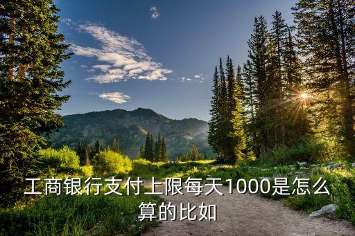 工商銀行支付上限每天1000是怎么算的比如