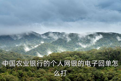 中國農(nóng)業(yè)銀行的個人網(wǎng)銀的電子回單怎么打