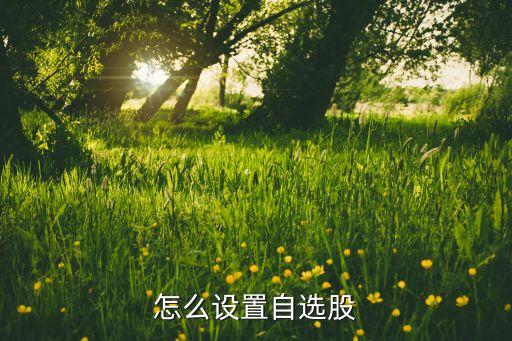 國(guó)盛證券自選股怎么編輯，怎么設(shè)置自選股