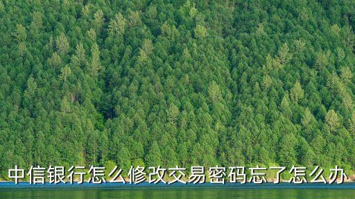 中信銀行怎么改密碼怎么設(shè)置，中信銀行怎么修改交易密碼忘了怎么辦