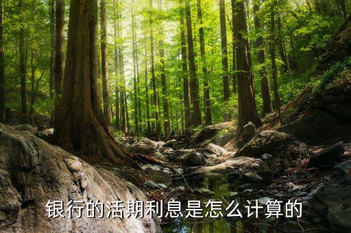 現(xiàn)銀行活期利息怎么算利息怎么算，銀行的活期利息是怎么計(jì)算的
