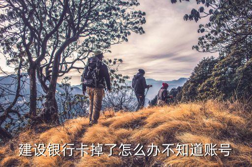 建設(shè)銀行卡掉了怎么辦不知道賬號