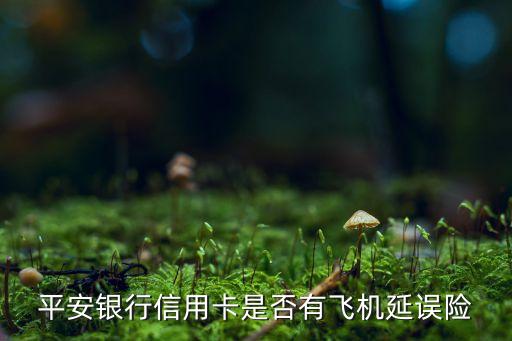 平安銀行信用卡是否有飛機(jī)延誤險(xiǎn)