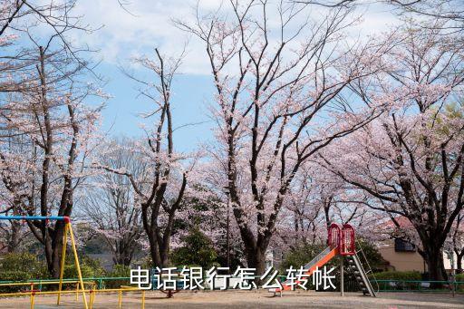 電話銀行怎么轉(zhuǎn)帳
