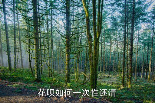 怎么一次性還清花唄，花唄如何一次性還清