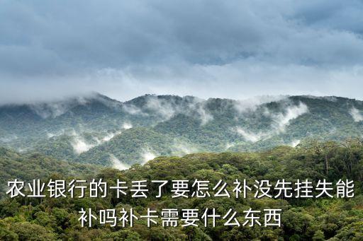 農(nóng)業(yè)銀行的卡丟了要怎么補(bǔ)沒(méi)先掛失能補(bǔ)嗎補(bǔ)卡需要什么東西