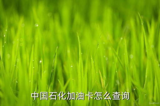 中國石化加油卡怎么查詢