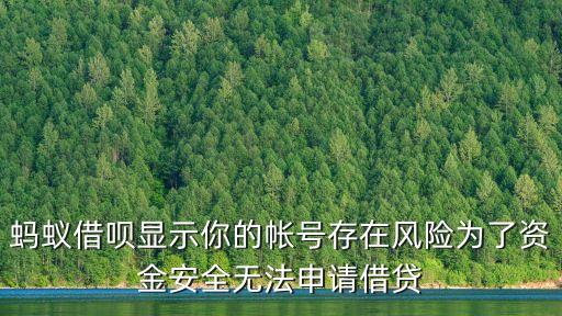 螞蟻借唄顯示你的帳號存在風(fēng)險為了資金安全無法申請借貸