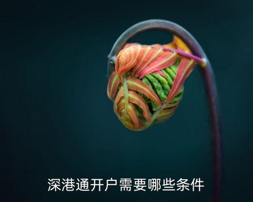 深港通開戶需要哪些條件