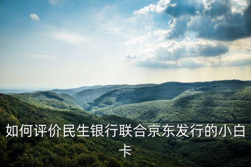 民生白條聯(lián)名卡怎么樣，中信光大民生這3家銀行的京東白條聯(lián)名卡選哪個(gè)