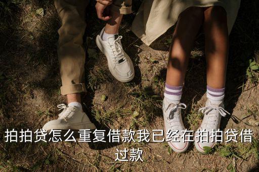 拍拍貸怎么重復(fù)借款我已經(jīng)在拍拍貸借過款