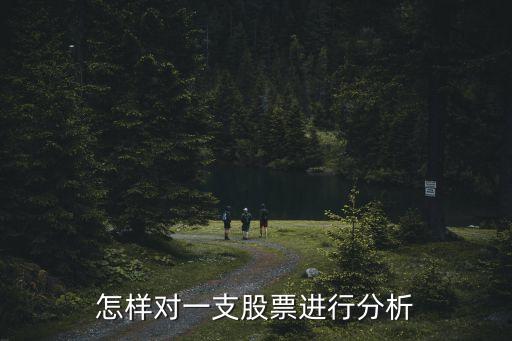 怎樣對(duì)一支股票進(jìn)行分析