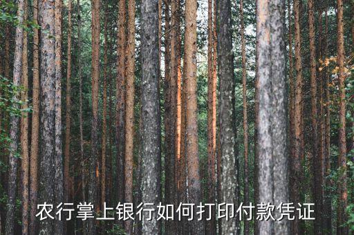 個人農(nóng)行回單怎么打，中國農(nóng)業(yè)銀行的個人網(wǎng)銀的電子回單怎么打