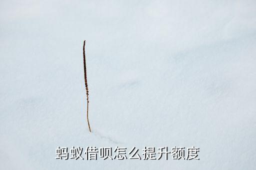 螞蟻借唄怎么提升額度
