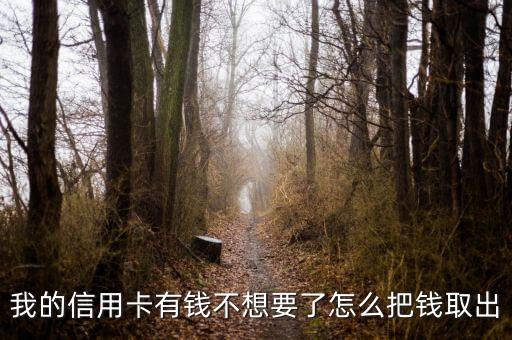 信用卡有錢怎么取出來嗎，信用卡可以取出錢了么