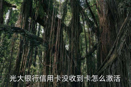 未收到信用卡怎么激活碼，光大銀行信用卡沒(méi)收到卡怎么激活