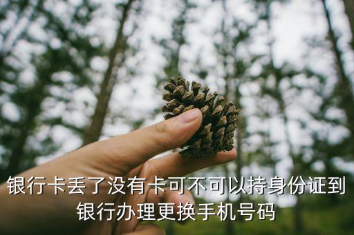 銀行卡丟了沒有卡可不可以持身份證到銀行辦理更換手機(jī)號(hào)碼