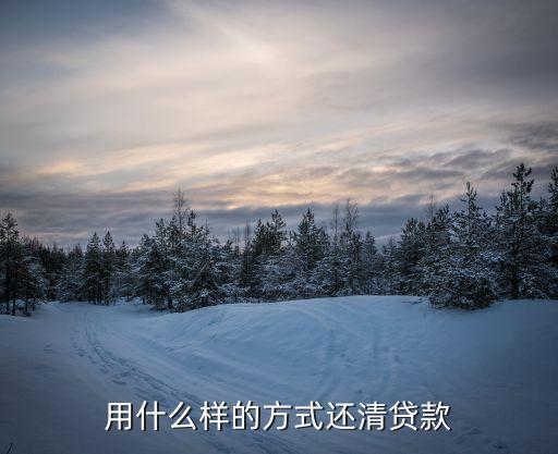 用什么樣的方式還清貸款