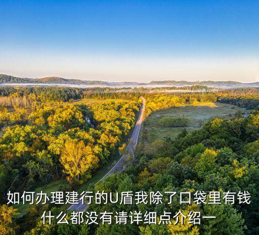 如何辦理建行的U盾我除了口袋里有錢什么都沒有請詳細點介紹一