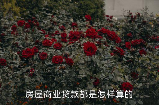 住房商貸怎么貸款利率，房貸利率怎么算