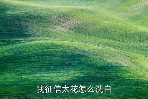 怎么洗白征信，如何漂白個(gè)人征信記錄
