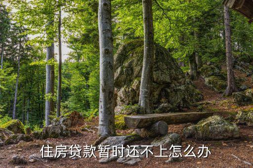 住房貸款逾期怎么辦12，住房貸款暫時(shí)還不上怎么辦