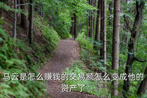 馬云資產(chǎn)是怎么回事，馬云的資產(chǎn)2000億是什么意思