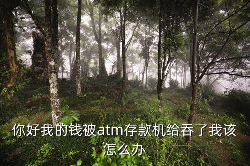 你好我的錢被atm存款機(jī)給吞了我該怎么辦