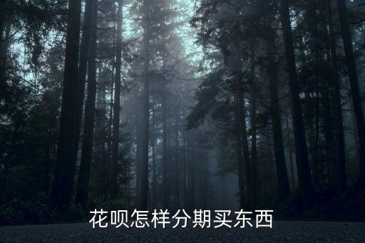 花唄怎樣分期買東西