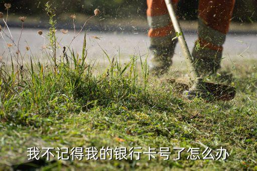 銀行卡號(hào)記不到怎么辦啊，我不記得我的銀行卡號(hào)了怎么辦