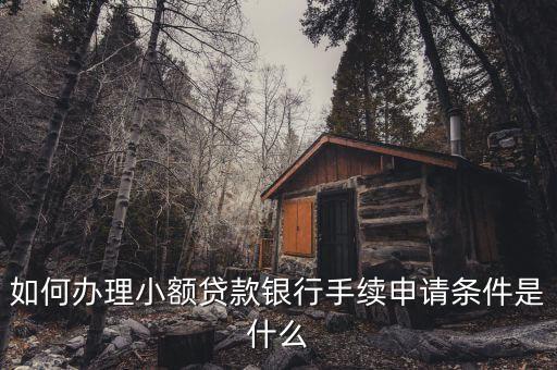 如何辦理小額貸款銀行手續(xù)申請條件是什么