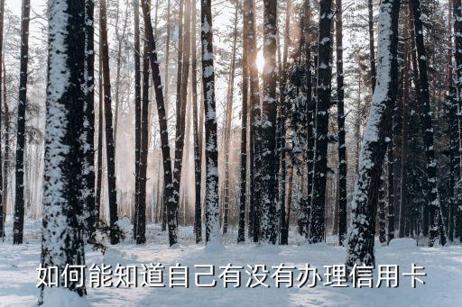 我有沒有辦信用卡怎么查詢，怎樣查詢自己名下有沒有信用卡