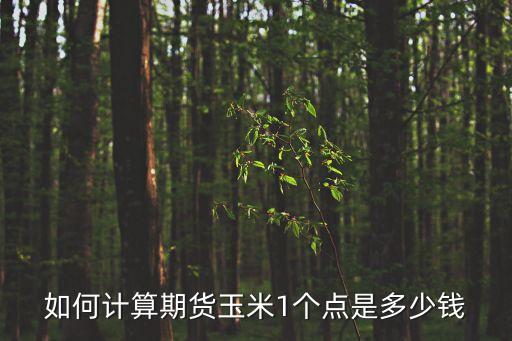 玉米期貨怎么計(jì)算，如何計(jì)算期貨玉米1個(gè)點(diǎn)是多少錢