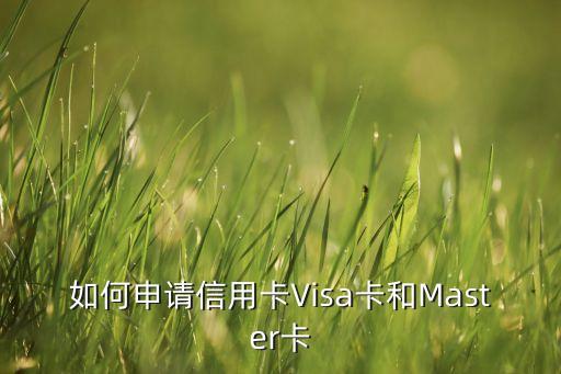 master 和visa怎么辦理，怎么辦理VISA和MASTERCARD啊
