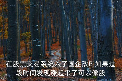 在股票交易系統(tǒng)入了國企改B 如果過段時間發(fā)現(xiàn)漲起來了可以像股
