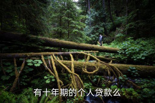 怎么貸10年，有十年期的個人貸款么